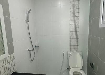 Modern bathroom with shower and toilet