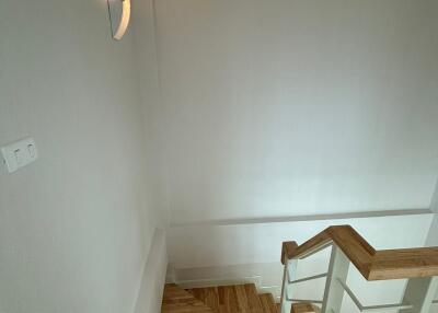 Contemporary wooden staircase with modern design