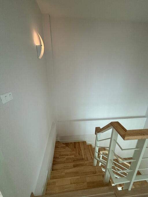 Contemporary wooden staircase with modern design