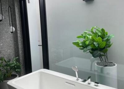 Modern bathroom with bathtub and plants