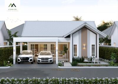 Modern house with driveway and garage