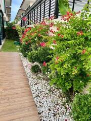 Outdoor garden area with wooden pathway