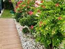 Outdoor garden area with wooden pathway