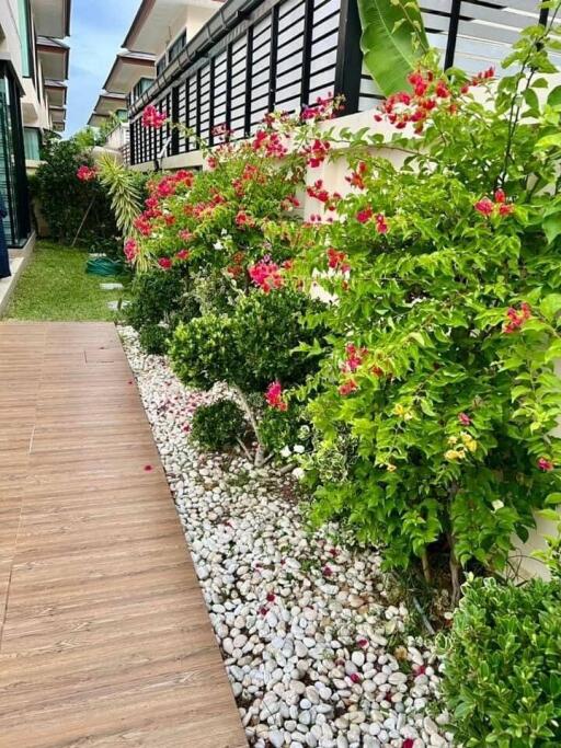 Outdoor garden area with wooden pathway