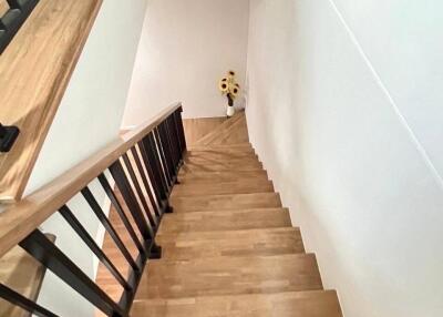 Wooden staircase view from top