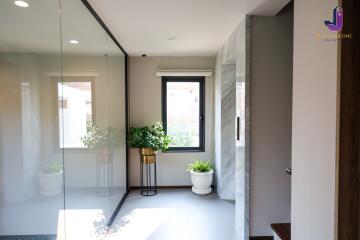 Bright hallway with plants and large window