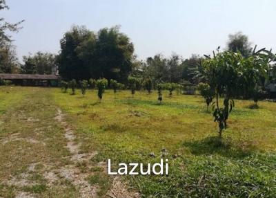 House on 8 rai of Land for Sale in Whiang Chai