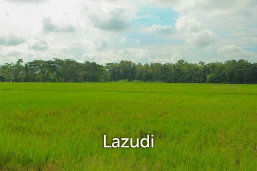 27 Rai of Land for Sale