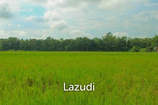 27 Rai of Land for Sale