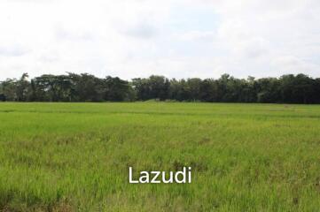 27 Rai of Land for Sale