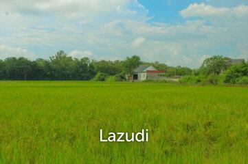 27 Rai of Land for Sale