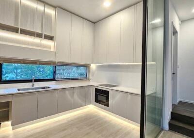 Modern kitchen with ample cabinetry and sleek design