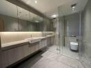 Modern bathroom with glass shower and large mirror