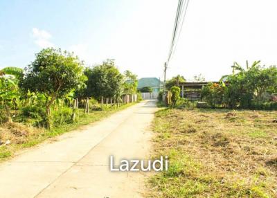 Land for Sale in Mae Lao