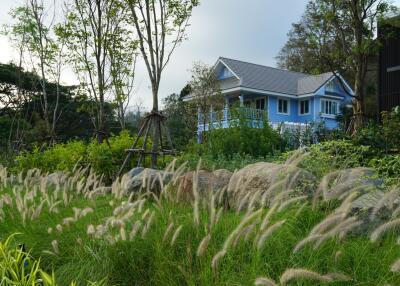 Blue house with a garden