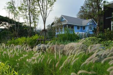 Blue house with a garden