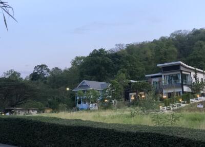 Exterior view of modern houses surrounded by greenery