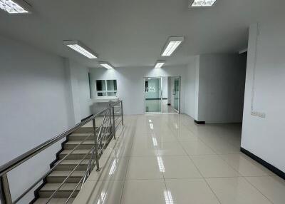 For Rent Ayutthaya Warehouse Phahonyothin Road Wang Noi