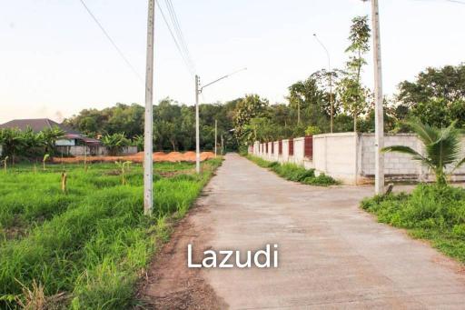 Land for Sale in Chiang Rai