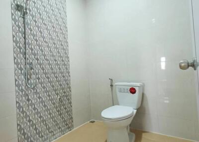 Clean and modern bathroom with shower and toilet