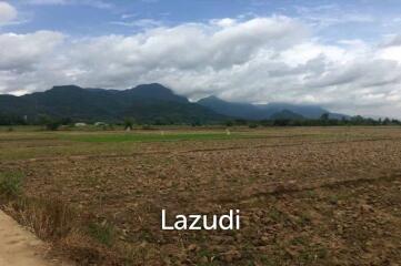 Good Location Land 34 rai in Mae Sai