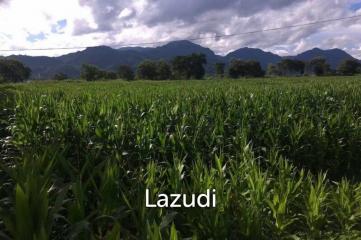 Good Location Land 34 rai in Mae Sai