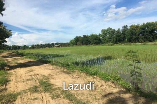 Good Location Land 34 rai in Mae Sai