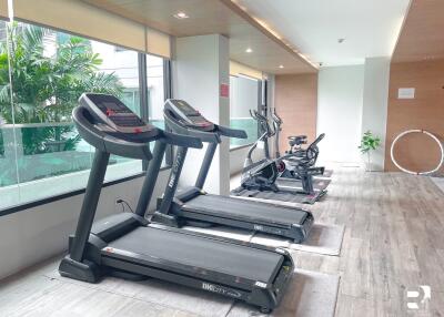 Modern gym with equipment