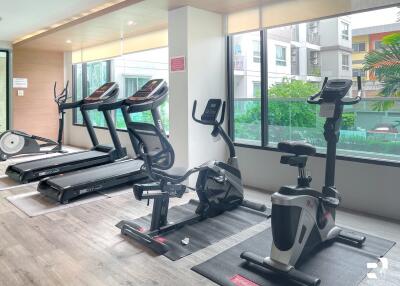 Modern gym with exercise equipment and large windows