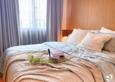 Cozy bedroom with a made bed, pillows, books, and a plant on top of a blanket