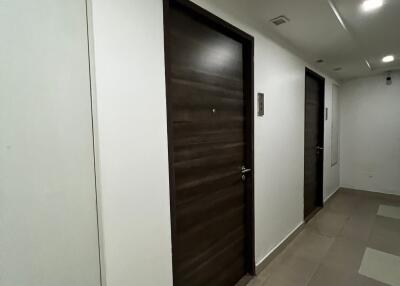 Modern hallway with wooden doors