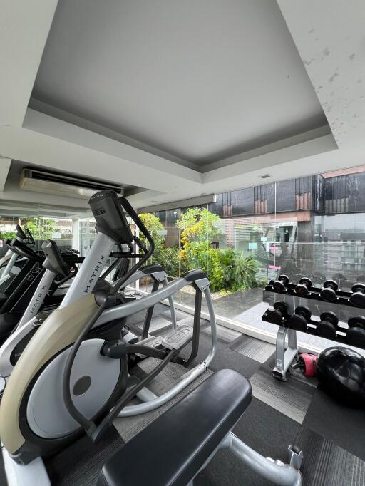 Well-equipped gym with modern exercise machines and free weights