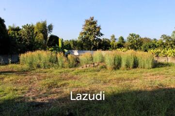 Land For Sale In Mae Yao