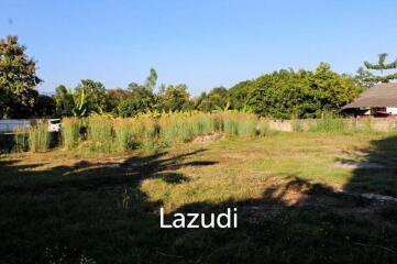 Land For Sale In Mae Yao