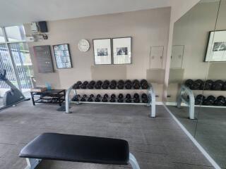 Modern gym with equipment and mirrors