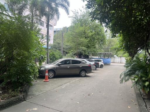 Parking area with trees and parked cars