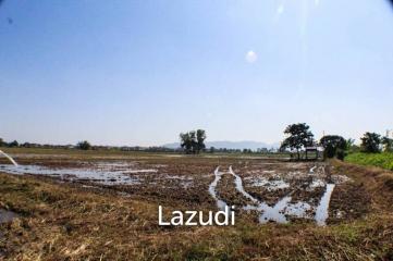 Land for Sale in Chiang Rai