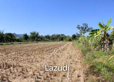 Land for Sale in Doi Hang
