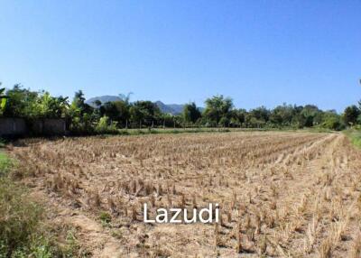 Land for Sale in Doi Hang