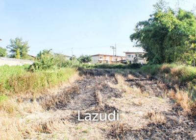 Land for Sale Near the Village