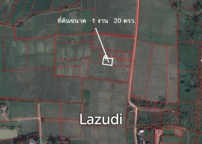 Land for Sale in Chiang Rai