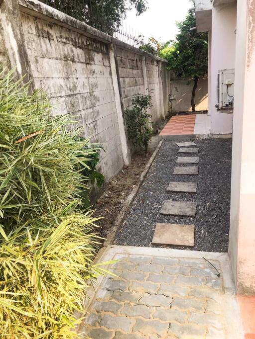 Pathway in backyard with stepping stones and surrounding plants