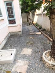 Outdoor pathway with trees and stepping stones