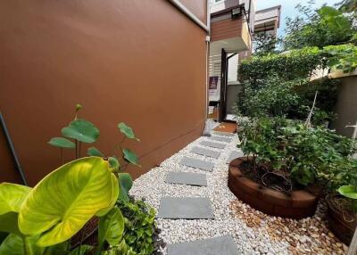 Outdoor garden with plants and stone pathway