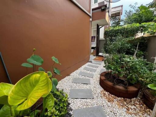 Outdoor garden with plants and stone pathway