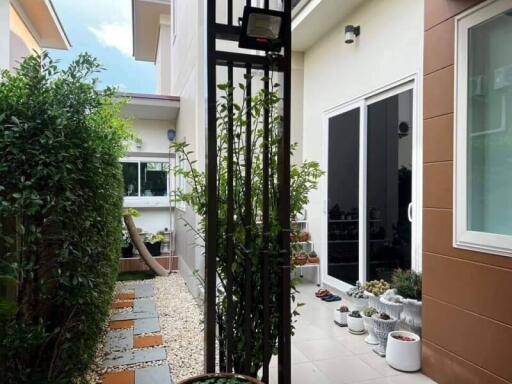 Outdoor garden space with plants and pathway