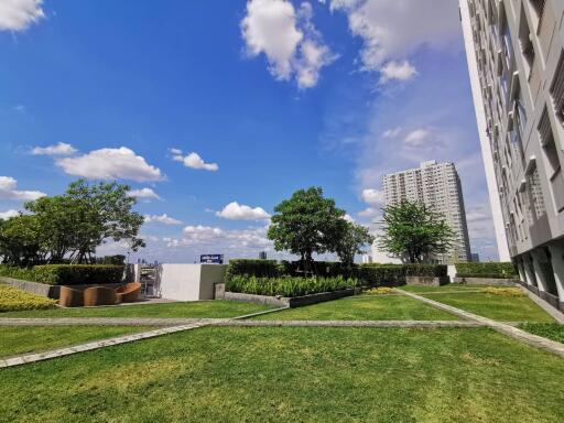 Outdoor common area with green lawn and buildings