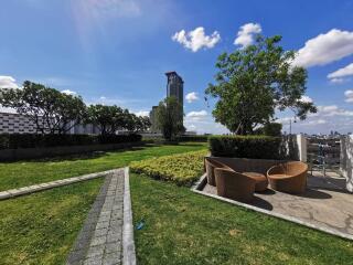 Outdoor garden area