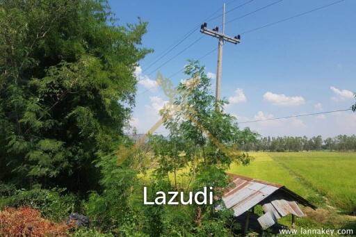 8 Rai of Land in Wiang Chiang Rung for Sale