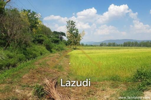 8 Rai of Land in Wiang Chiang Rung for Sale